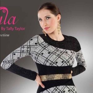 Stunning Kayla Dress by Tally Taylor